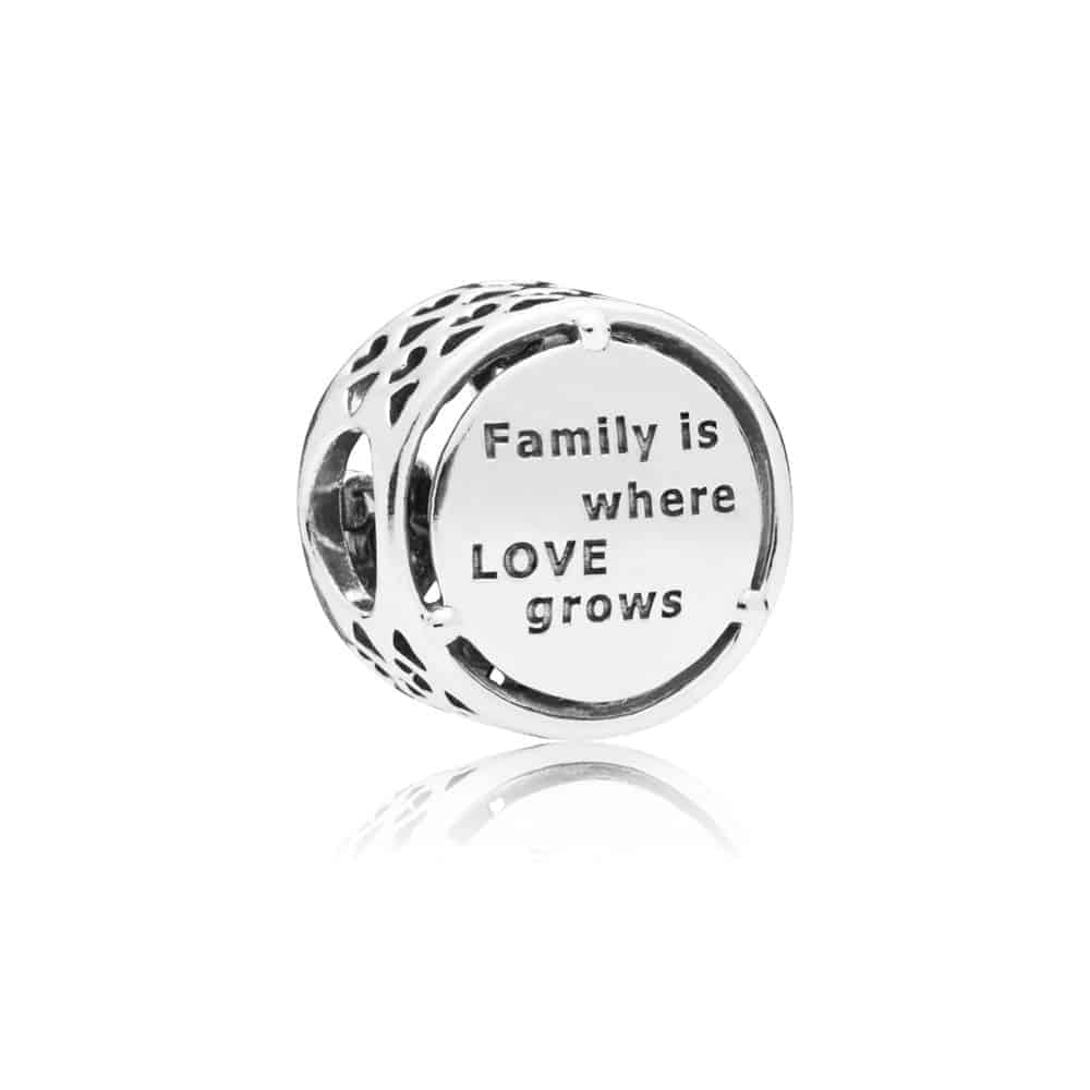 Charm Hommage Familial 35€ - 797590 Charm Hommage Familial 35€ - 797590
