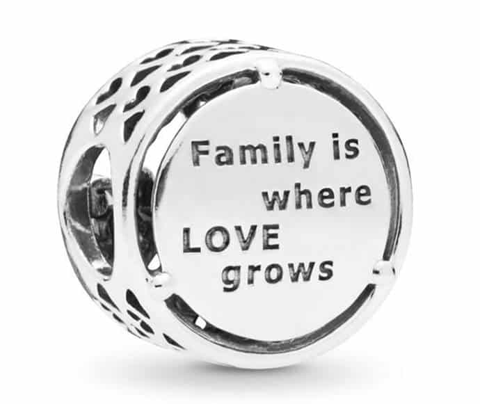 Charm Hommage Familial 35,00 € - 797590 Charm Hommage Familial 35,00 € - 797590
