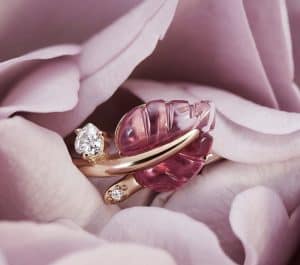 Collection Automne 2019 : Or Rose
