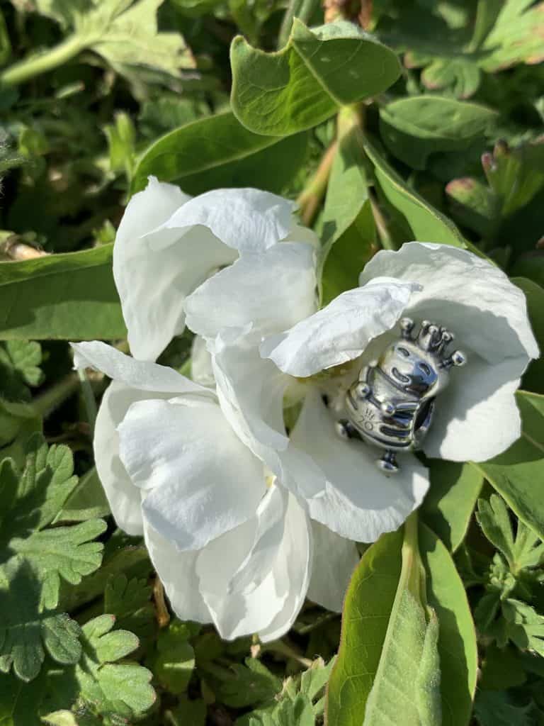 Charm du mois de Mars 20 ans Pandora : L'abeille Charm du mois de Mars 20 ans Pandora : L'abeille