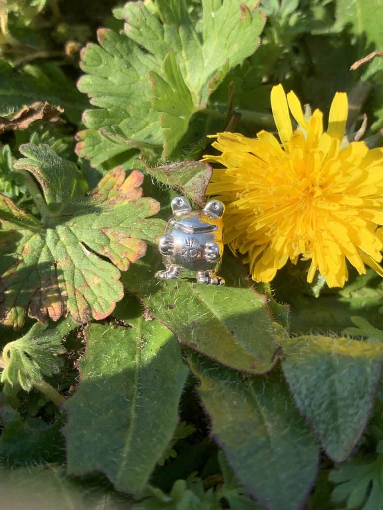 Février Charm 20 ans pandora Grenouille Février Charm 20 ans pandora Grenouille