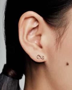 Clous d’Oreilles Infini Scintillants 49,00 € - 288820C01 Clous d’Oreilles Infini Scintillants 49,00 € - 288820C01