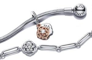 pétale de rose