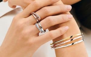 Collection Pandora Signature 2021