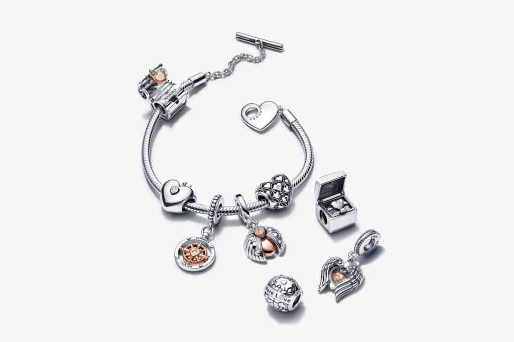 Ensemble des charms club depuis 2015 Ensemble des charms club depuis 2015