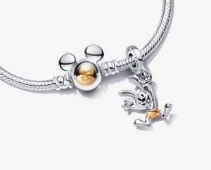 Collection 100 ans anniversaire de Mickey