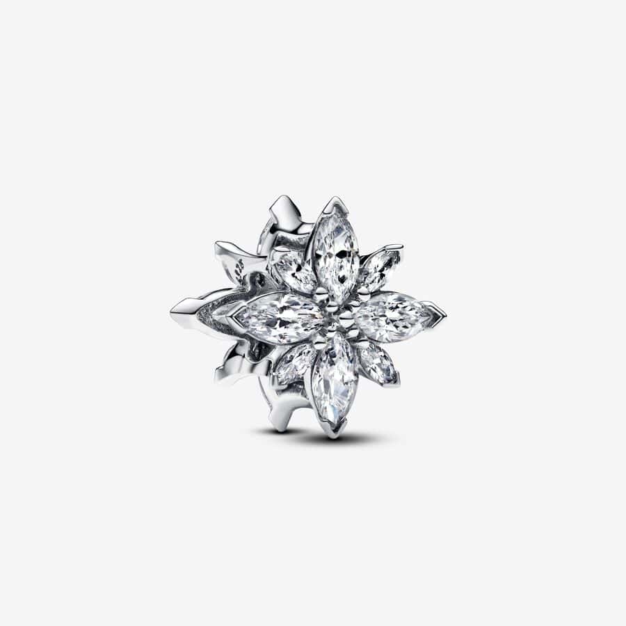 Charm Étoile Polaire Scintillante 75,00 € - 793591c01 Charm Étoile Polaire Scintillante 75,00 € - 793591c01