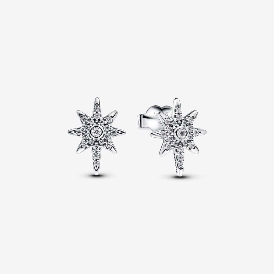 Clous d’Oreilles Étoile Polaire Scintillante 39,00 €293587c01 Clous d’Oreilles Étoile Polaire Scintillante 39,00 €293587c01